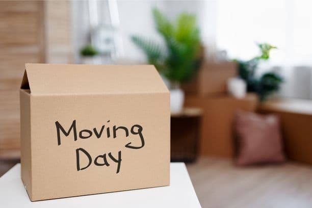 Moving box labeled 'Moving Day'